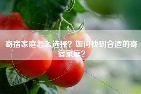 寄宿家庭怎么选择？如何找到合适的寄宿家庭？