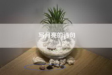 写月亮的诗句