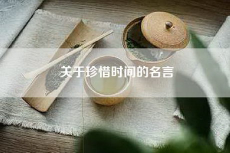 关于珍惜时间的名言