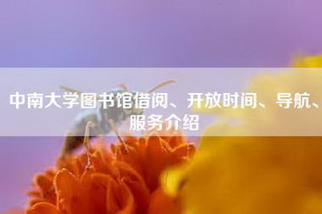 中南大学图书馆借阅、开放时间、导航、服务介绍