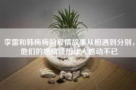 李雷和韩梅梅的爱情故事从相遇到分别，他们的感情经历让人感动不已