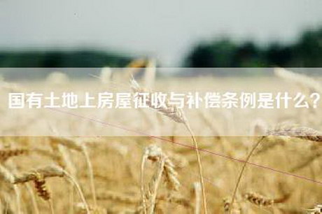 国有土地上房屋征收与补偿条例是什么？