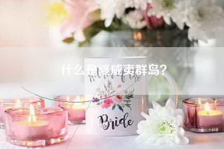 什么是夏威夷群岛？