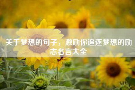 关于梦想的句子，激励你追逐梦想的励志名言大全