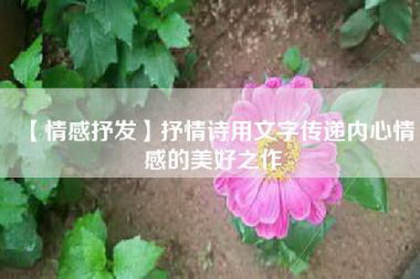 【情感抒发】抒情诗用文字传递内心情感的美好之作