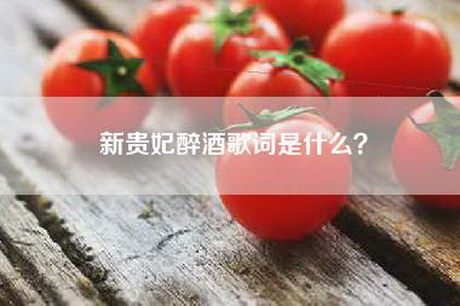 新贵妃醉酒歌词是什么? 新贵妃醉酒歌词是什么?