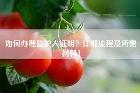 如何办理监护人证明?详细流程及所需材料! 如何办理监护人证明?详细流程及所需材料!