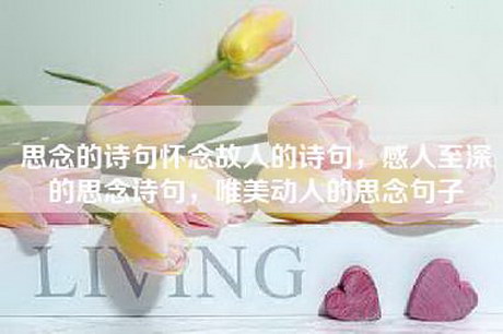 思念的诗句怀念故人的诗句,感人至深的思念诗句,唯美动人的思念句子 思念的诗句怀念故人的诗句,感人至深的思念诗句,唯美动人的思念句子