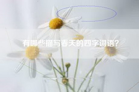 有哪些描写春天的四字词语？