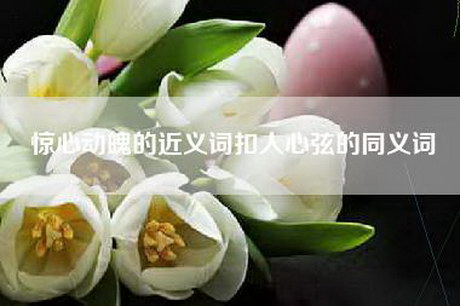 惊心动魄的近义词扣人心弦的同义词