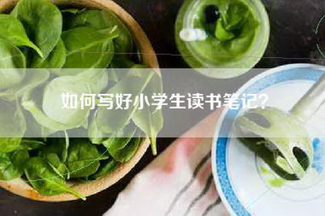如何写好小学生读书笔记？