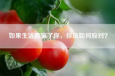 如果生活欺骗了你，你该如何应对？