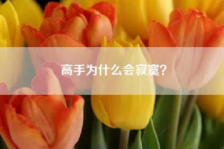 高手为什么会寂寞? 高手为什么会寂寞?