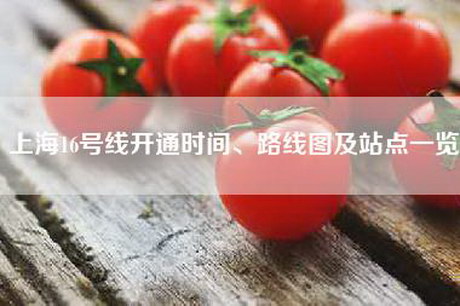 上海16号线开通时间、路线图及站点一览
