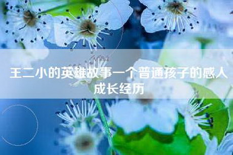 王二小的英雄故事一个普通孩子的感人成长经历