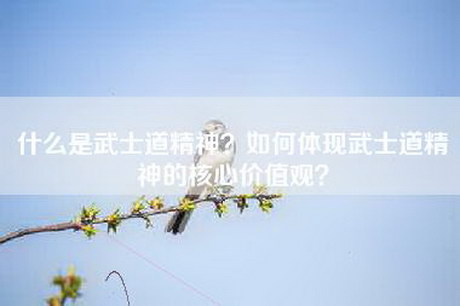 什么是武士道精神？如何体现武士道精神的核心价值观？
