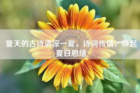 夏天的古诗清凉一夏，诗词传情，唤起夏日思绪