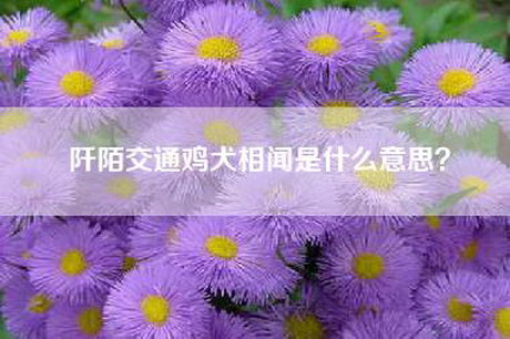 阡陌交通鸡犬相闻是什么意思？