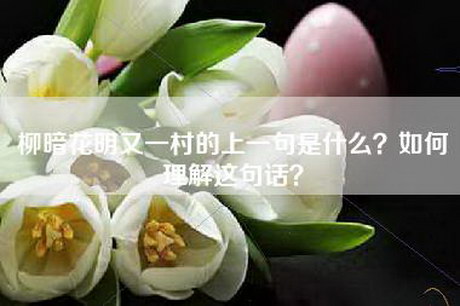 柳暗花明又一村的上一句是什么？如何理解这句话？