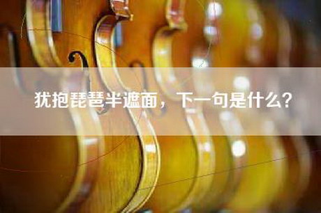 犹抱琵琶半遮面，下一句是什么？