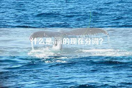 什么是visit的现在分词？