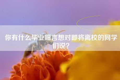 你有什么毕业赠言想对即将离校的同学们说? 你有什么毕业赠言想对即将离校的同学们说?
