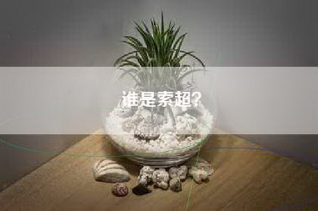 谁是索超? 谁是索超?