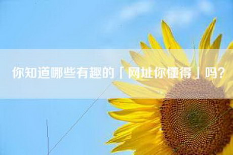 你知道哪些有趣的「网址你懂得」吗? 你知道哪些有趣的「网址你懂得」吗?