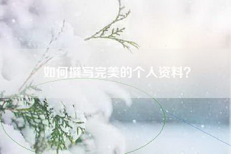 如何撰写完美的个人资料? 如何撰写完美的个人资料?