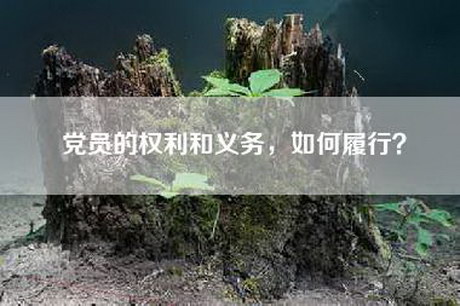 党员的权利和义务，如何履行？