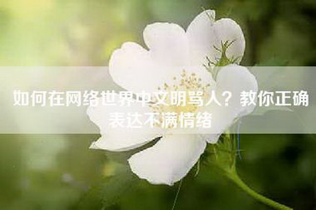 如何在网络世界中文明骂人？教你正确表达不满情绪