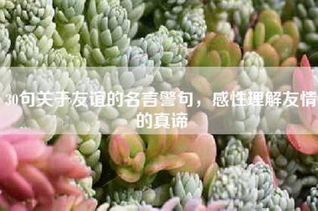 30句关于友谊的名言警句,感性理解友情的真谛 30句关于友谊的名言警句,感性理解友情的真谛