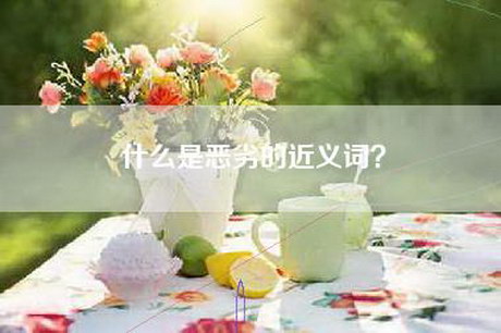 什么是恶劣的近义词？