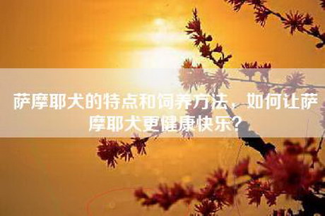 萨摩耶犬的特点和饲养方法，如何让萨摩耶犬更健康快乐？