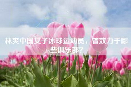 林爽中国女子冰球运动员，曾效力于哪些俱乐部？