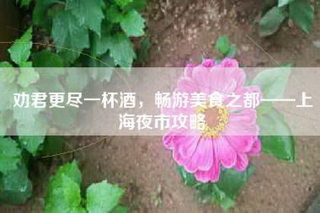 劝君更尽一杯酒，畅游美食之都——上海夜市攻略