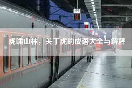 虎啸山林，关于虎的成语大全与解释