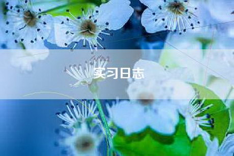 实习日志