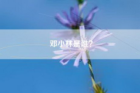 邓小林是谁? 邓小林是谁?