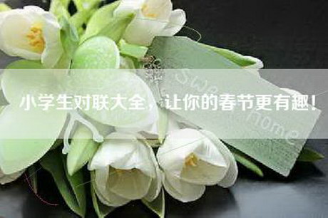 小学生对联大全，让你的春节更有趣！