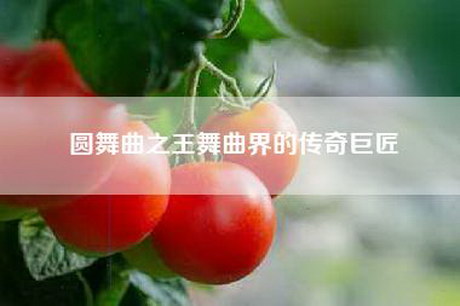 圆舞曲之王舞曲界的传奇巨匠