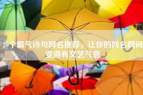 20个霸气诗句网名推荐，让你的网名瞬间变得有文艺气息