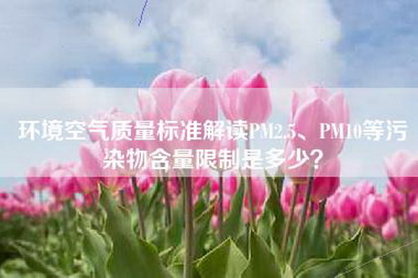 环境空气质量标准解读PM2.5、PM10等污染物含量限制是多少？