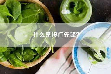 什么是投行先锋？