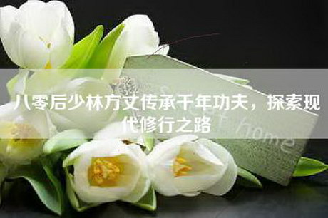 八零后少林方丈传承千年功夫，探索现代修行之路