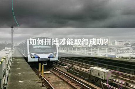 如何拼搏才能取得成功? 如何拼搏才能取得成功?