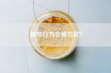 哪些行为会被罚款？