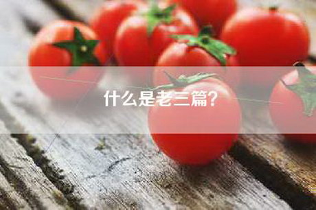 什么是老三篇? 什么是老三篇?