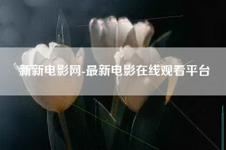 新新电影网-最新电影在线观看平台 新新电影网-最新电影在线观看平台