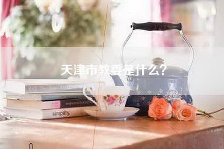 天津市教委是什么？
